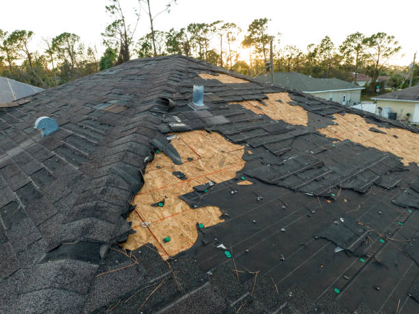 Best Roofing for New Construction  in Atlantic Beach, FL